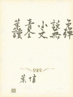 叶青小说免费阅读全文无弹窗