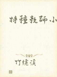 特种教师小说