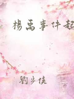 杨禹事件起因