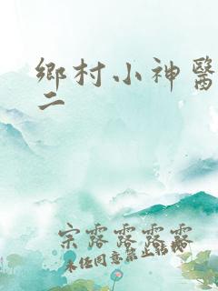 乡村小神医王小二