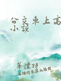 公交车上高潮的小说