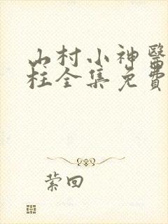 山村小神医王铁柱全集免费阅读