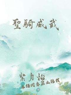 圣骑威武