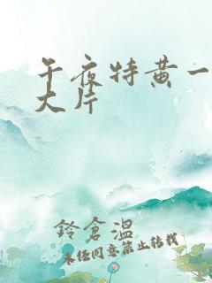 午夜特黄一级a大片
