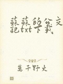 苏苏的公交车日记txt下载