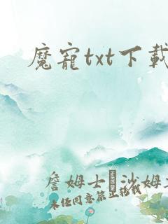 魔宠txt下载