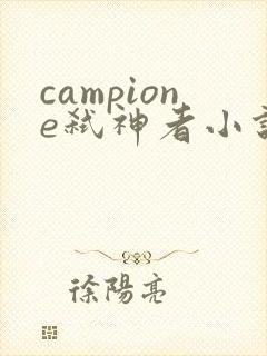 campione弑神者小说