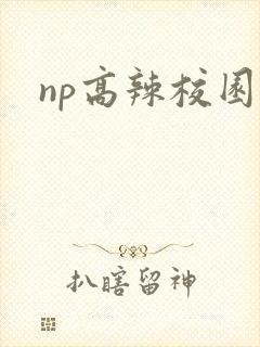 np高辣校园文