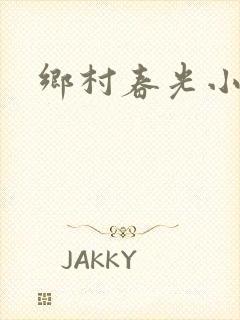 乡村春光小说