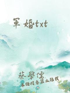 军婚txt