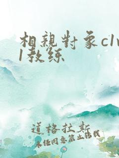 相亲对象c1v1教练