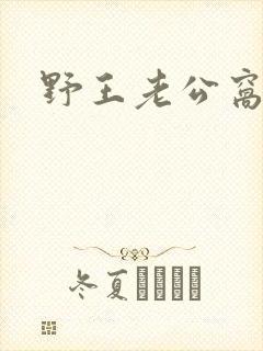 野王老公窝