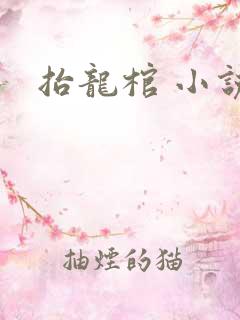 抬龙棺 小说