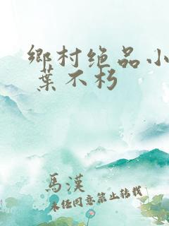 乡村绝品小神医 叶不朽