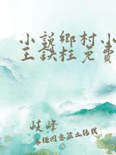 小说乡村小神医王铁柱免费阅读