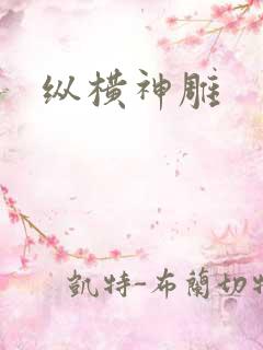 纵横神雕