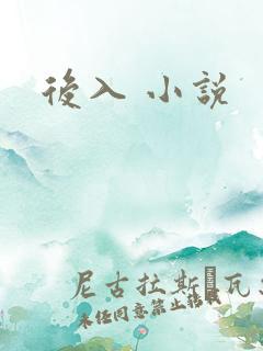 后入 小说