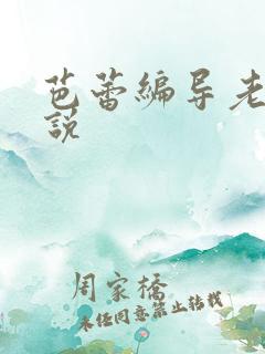 芭蕾编导老师小说