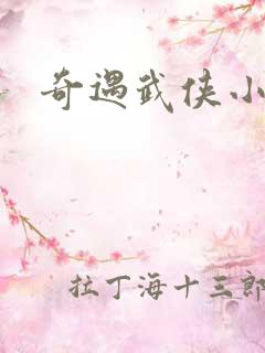 奇遇武侠小说