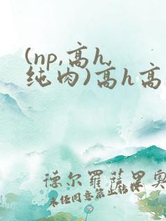 (np,高h,纯肉)高h高辣bl