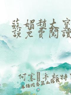 苏媚赵大宝的小说免费阅读全文
