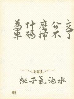 为什么公交车乘车码扫不了