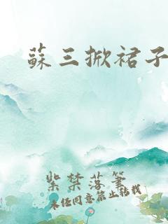 苏三掀裙子