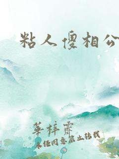 粘人傻相公
