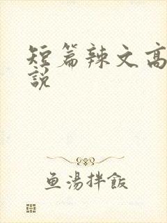 短篇辣文高h小说