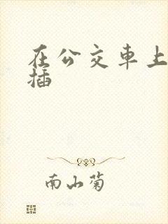 在公交车上被人插