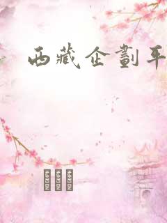 西藏企划平台