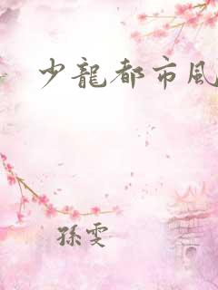 少龙都市风流行