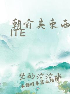 朝俞夹东西WRITE