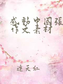 感动中国张桂梅作文素材