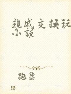 亲戚交换玩美妇小说