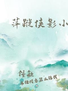 萍踪侠影小说