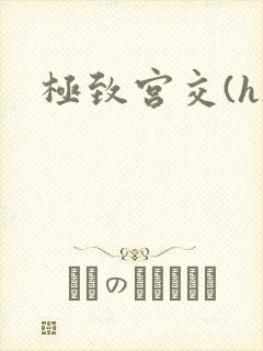 极致宫交(h)