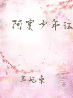 阿宾少年往事