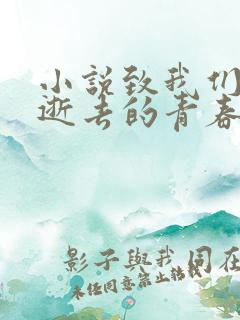 小说致我们终将逝去的青春