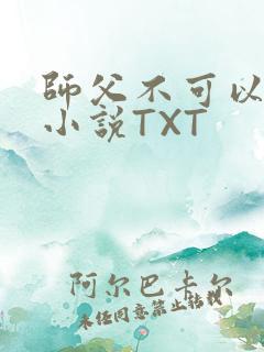 师父不可以灵犀小说TXT