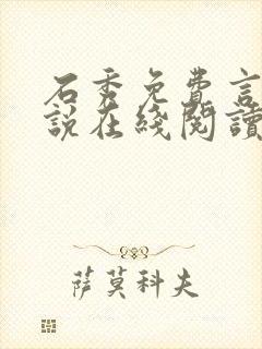 石秀免费言情小说在线阅读