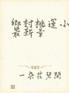 乡村桃运小神医最新章