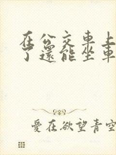 在公交车上高潮了还能坐车吗
