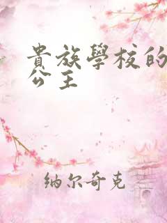 贵族学校的双面公主