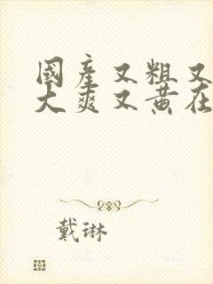 国产又粗又猛又大爽又黄在线