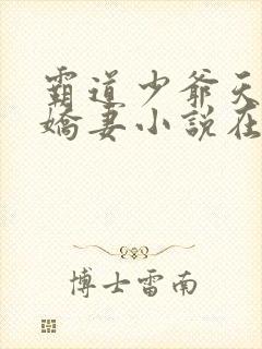 霸道少爷天才小娇妻小说在线阅读全文