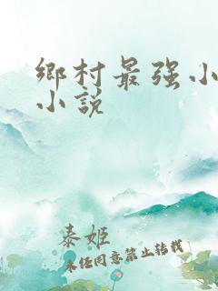 乡村最强小神农小说