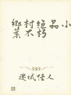 乡村绝品小神医叶不朽