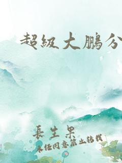 超级大鹏分身