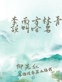 李南方林青青小说叫啥名